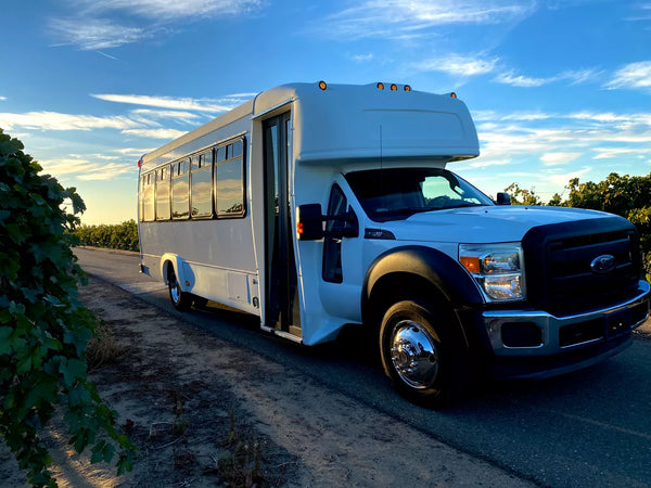 Limusina Autobús de Fiesta para 20-24 Personas